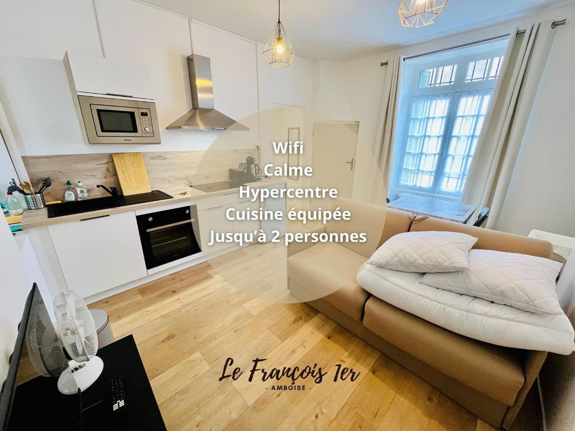 Le Francois 1Er - Studio Entre Loire Et Chateau Royal - Manoir De La Concorde Amboise Exterior foto